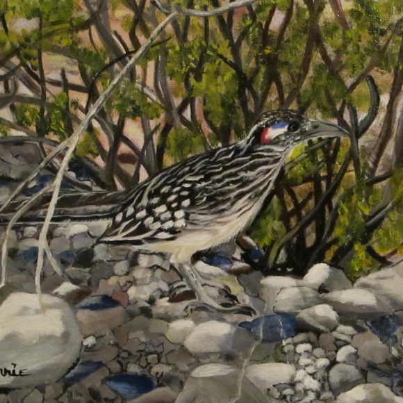 Meet your Posher, Connie - Picture 9 of 16